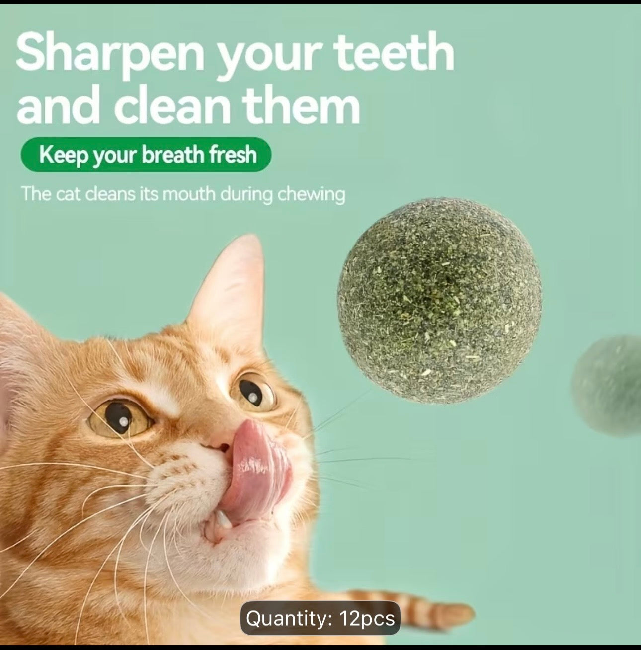 Catnip balls